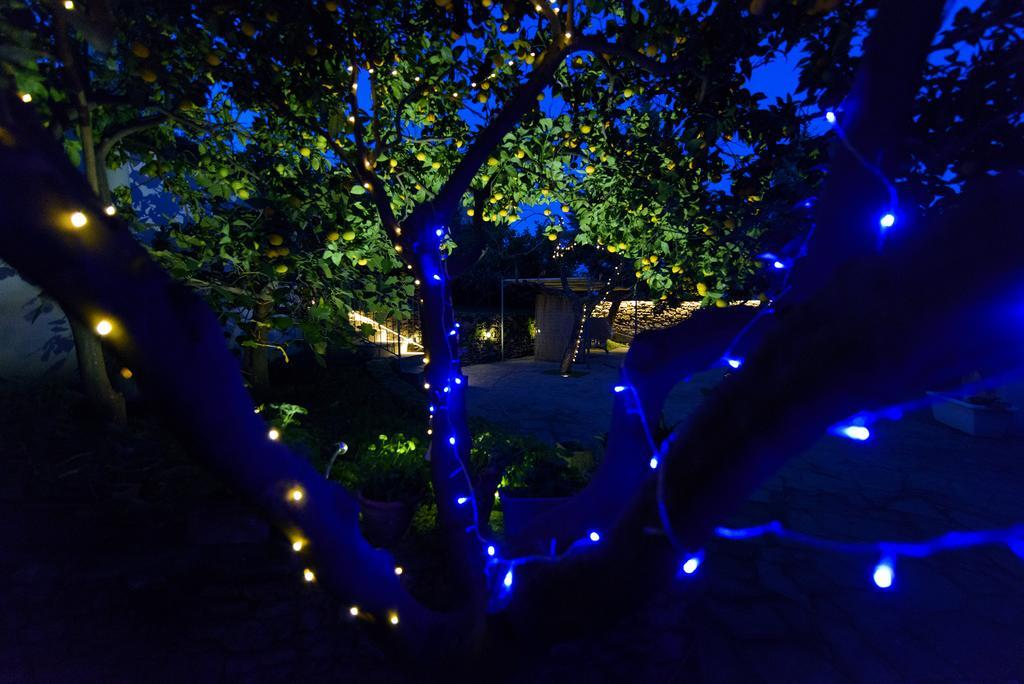 Bed & Breakfast Gli Aranci Agropoli